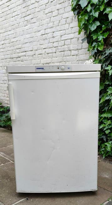 GERESERVEERD tafelmodel diepvries