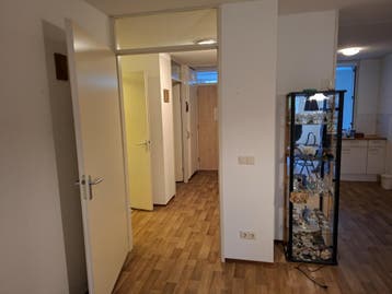 Gratis af te halen: Vinyl vloer (ca. 82m2)