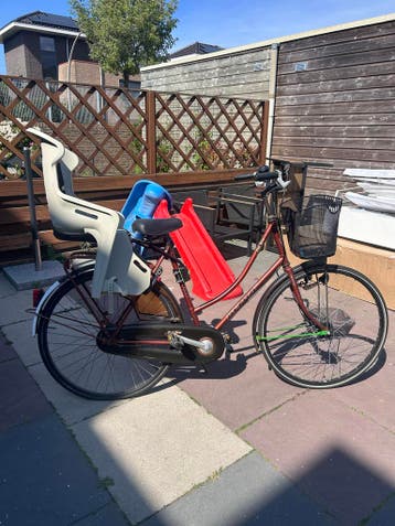 Altra damesfiets met achterzitje - opknapper, gratis af te h