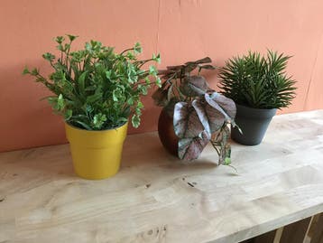 3 kunstplantjes