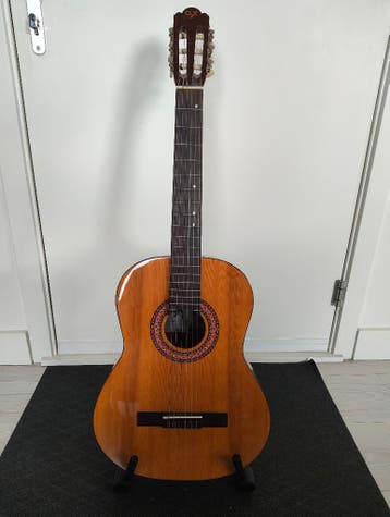 Akoestische Gitaar met Standaard