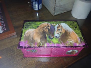 Te koop Splinternieuwe sieraden doos  zie advertentie