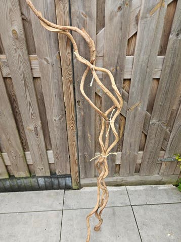 3 Decoratieve Kronkel Takken - Natuurlijke Woondecoratie