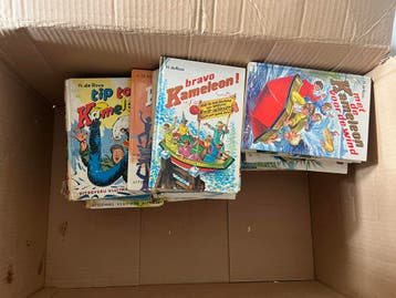 Kameleon Boeken - Diverse Titels van H. de Roos