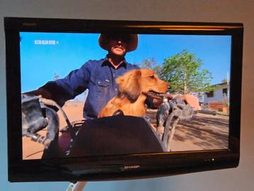 GRATIS Sharp Aquos LCD TV - 80 cm - Goede staat