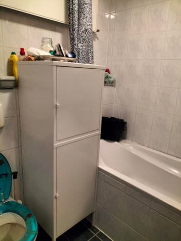 Gratis Assen. Sanitair gratis afhalen