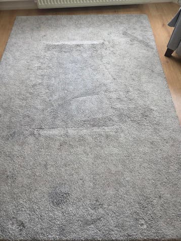 LichtGrijs kleed 170240