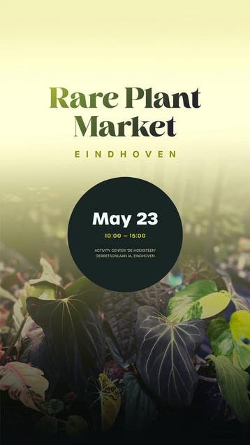 Zeldzame Planten Markt Eindhoven 23/5