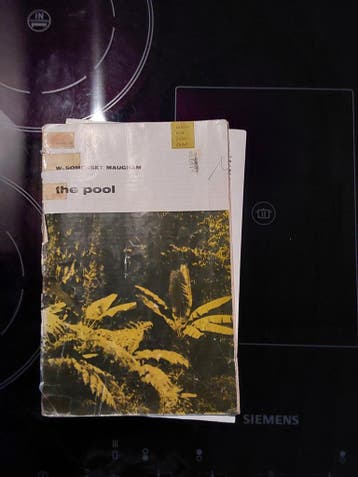 The Pool - W. Somerset Maugham (1952)