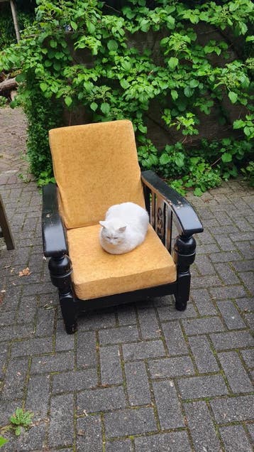 Gratis rokersstoel