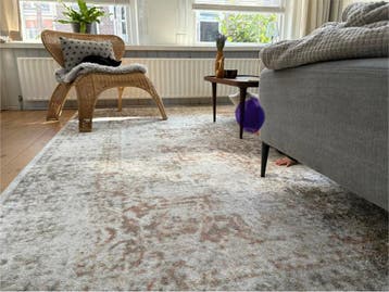 Gratis op te halen: Gebruikt vloerkleed (290x180 cm)