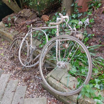 Peugeot sportfiets . Leeftijd +/- 55 jr.