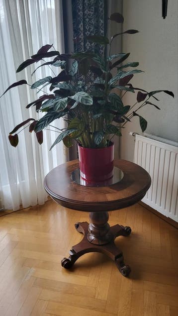 Massief Teakhouten Bijzettafel - Rond (70x62 cm)
