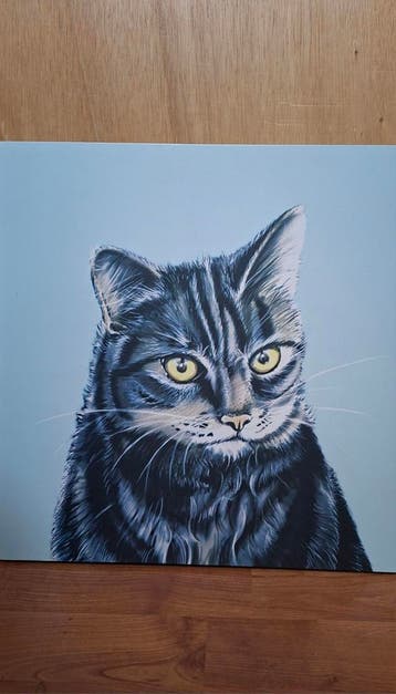 Kat. Poes