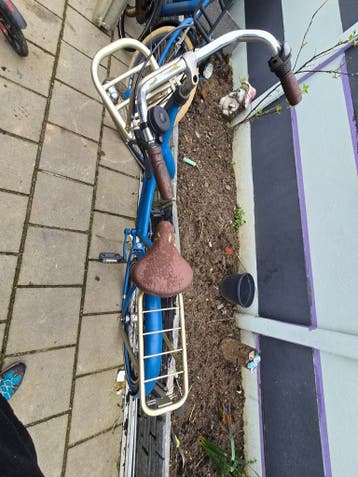 Meisjes fiets