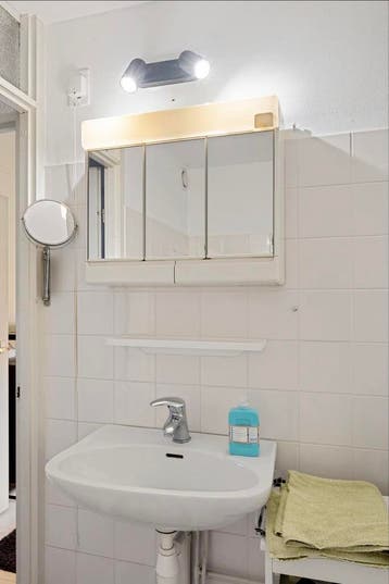 Wastel + spiegelkast + plankje