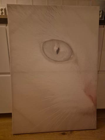 Canvas print kat