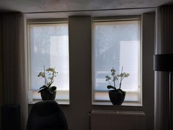 Rolgordijnen