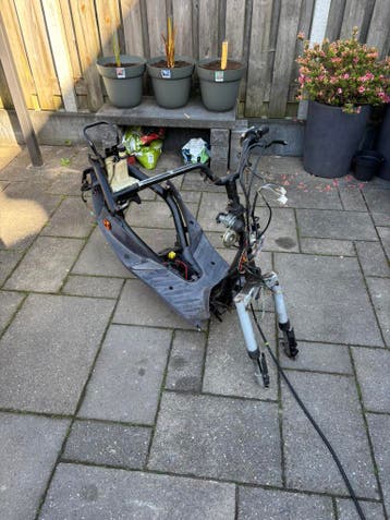 Vivacity frame met wok gratis ophalen