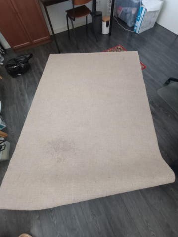 Langsted vloerkleed Ikea