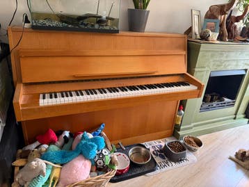 Rippen piano