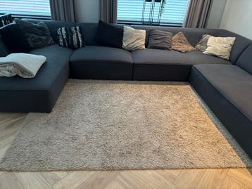 Vloerkleed gratis af te halen 230x160