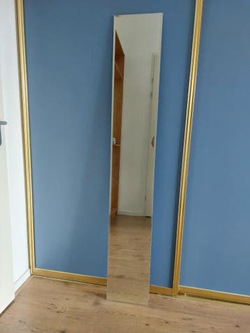 Wandspiegel 165 x 25 cm - Modern en Slank Design