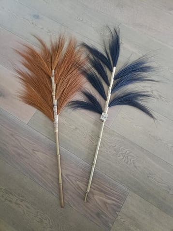 Gratis droogbloem / palm