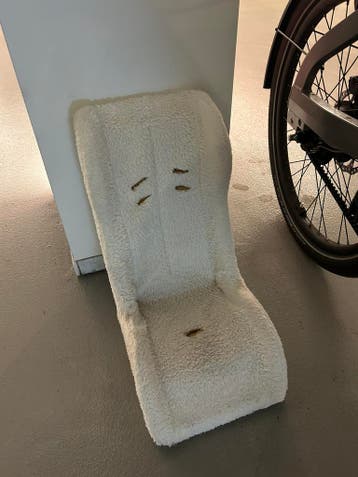 Schelp voor peuter/ peuterschaal bakfiets gratis af te halen