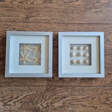 2 Schilderijtjes met schelpen en zeesterren 25x25 cm