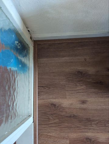 Laminaatvloer, gratis, zelf verwijderen (ca. 18 m2)