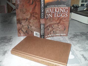 BOEK LOWELL DINGUS-WALKING ON EGGS.