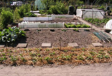 Ik kom graag mensen zijn tuin  zijn doen