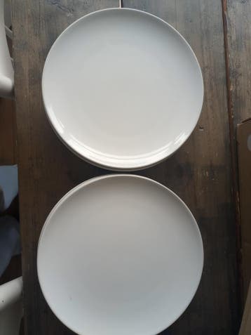 Gratis 10 witte borden 26 cm