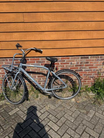 Gazelle stadsfiets - grijs, met voordrager