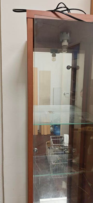 Glazen vitrinekast met houten frame en verlichting