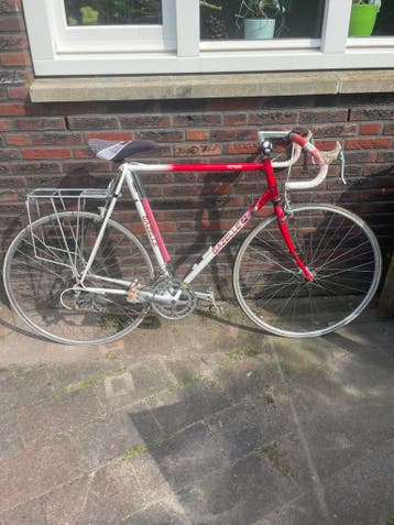 Gazelle Olympia
