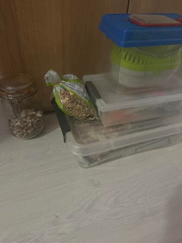 Hamster benodigdheden