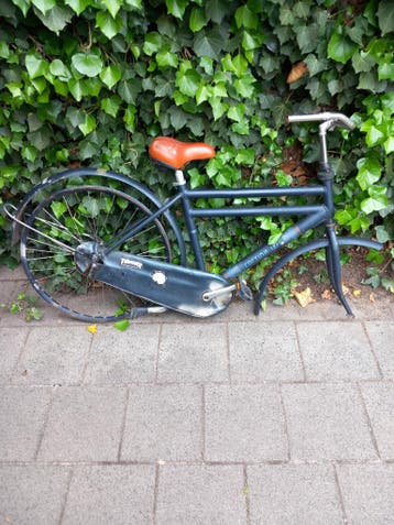 Cortina Fietsframe Dubbelbuis Heren. GRATIS