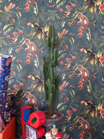 Grote Euphorbia Cactus