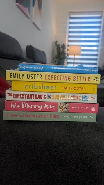 Engelse Zwangerschapsboeken - Set van 6