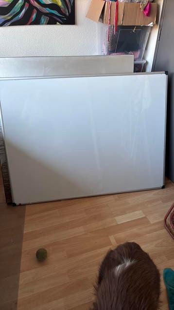 Whiteboard, magnetisch