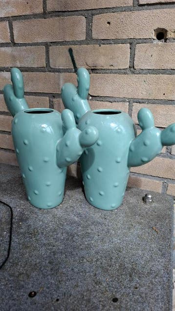 Cactus vazen GRATIS
