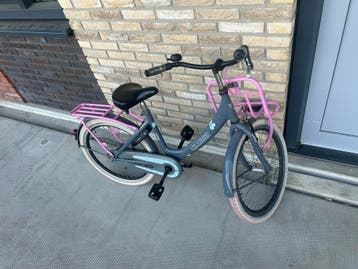 Kinderfiets 22 inch - Alpina Clubb - Grijs/Roze