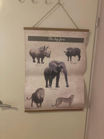 Poster the big five