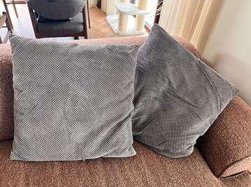 GRATIS - 2 grey pillows