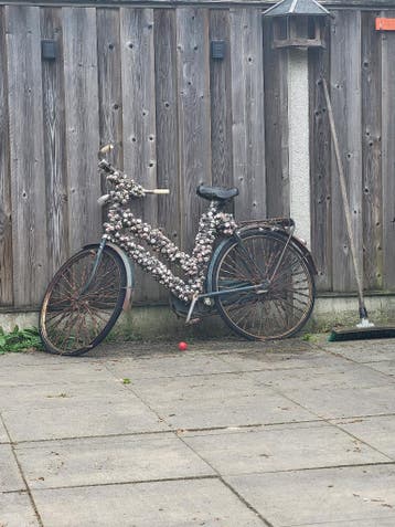 Gratis op te halen grolsch bier fiets