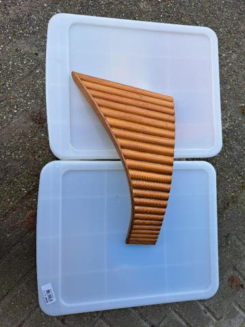Palmfluit