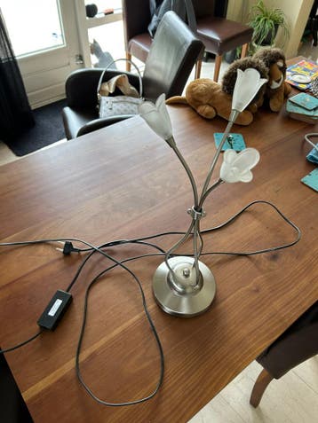 Halogeen lampje met dimmer.