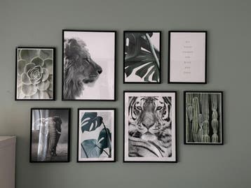 Te koop mooi fotoposter incl zwarte lijst